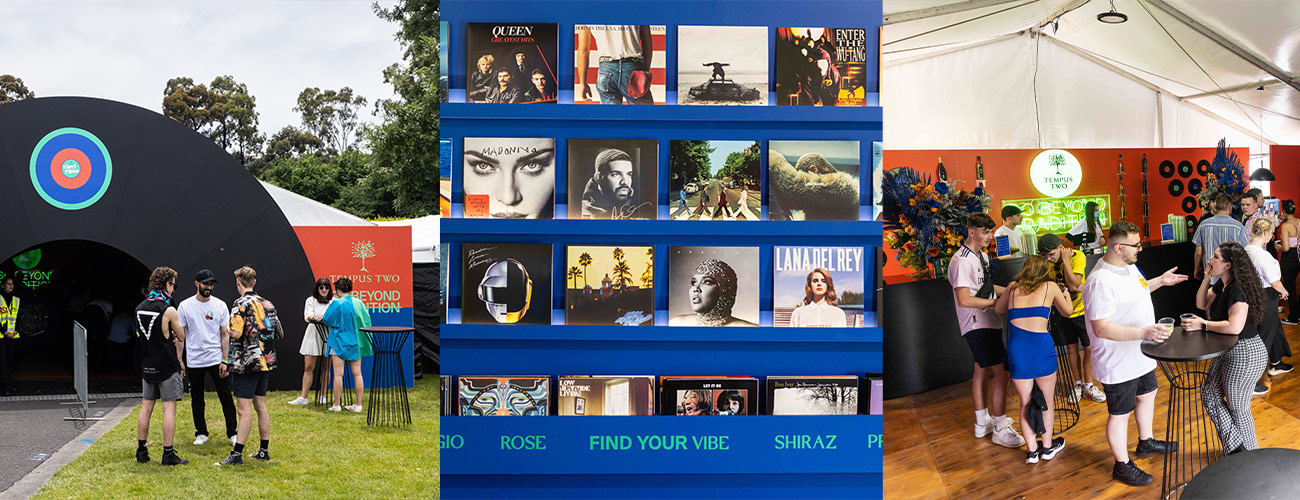 Vinyl Vibes Festival X